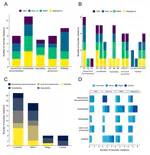 Usability evaluation of circRNA identification tools: Development of a heuristic-based framework and analysis